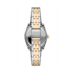 Reloj Fossil Scarlette Mini Es4899