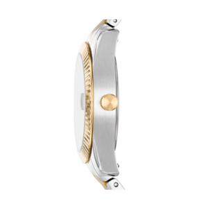Reloj Fossil Scarlette Mini Es4949