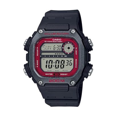 Reloj Casio World Time DW-291H-1BVCF