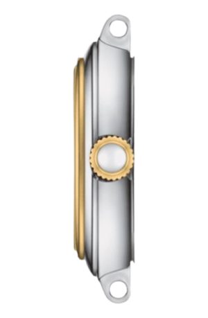 Reloj Tissot Bellissima Small Lady T1260102201300